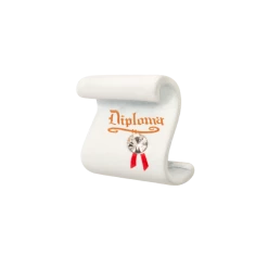 Promo 👏 Origami Owl The Wizard of Oz Diploma Charm ⭐