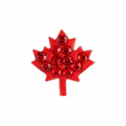 Coupon 🥰 Origami Owl Maple Leaf Sparkle Charm 😀