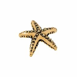 Discount 🔥 Origami Owl Starfish Charm 😀