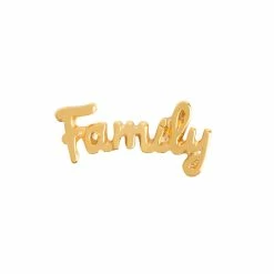 Budget 🌟 Origami Owl Gold "Family" Charm 🎉