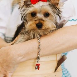 Best reviews of 🛒 Origami Owl The Wizard of Oz Ruby Slippers Charm Pendant ⭐ -Thinkgoodness Shop lnoumnp0ovagxopmbrd6