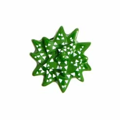 Coupon 😍 Origami Owl Haworthia Succulent Charm ✨