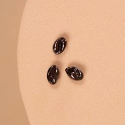 Outlet 😀 Origami Owl Coffee Bean Charm - Set of 3 👏